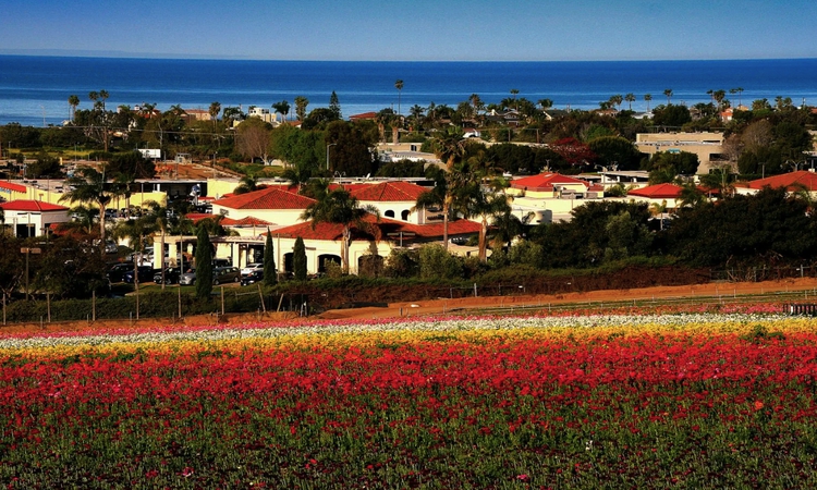 Location bureau Carlsbad