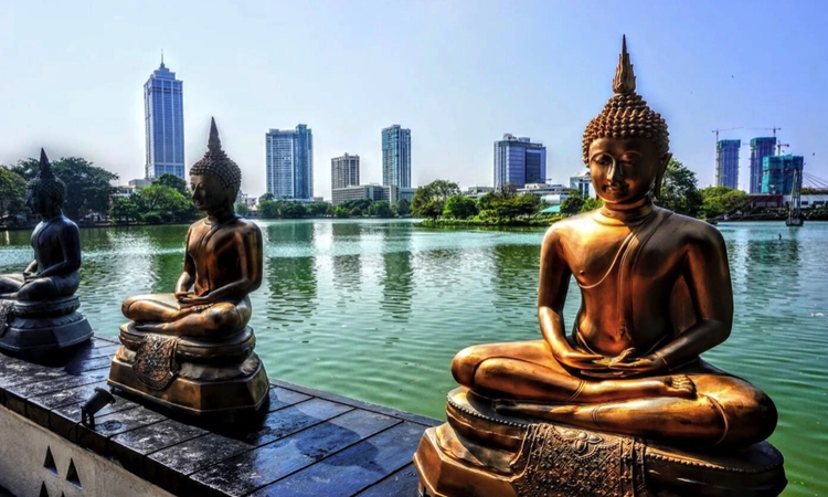 Biura do wynajęcia, Colombo