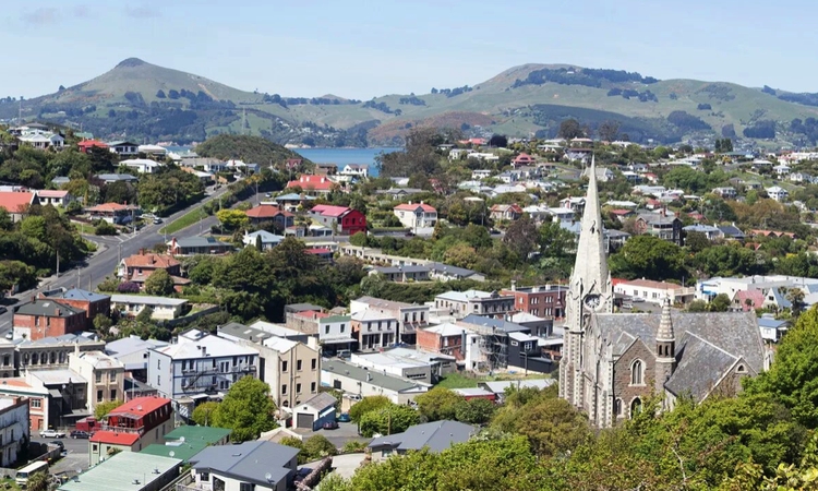 Rent office Dunedin
