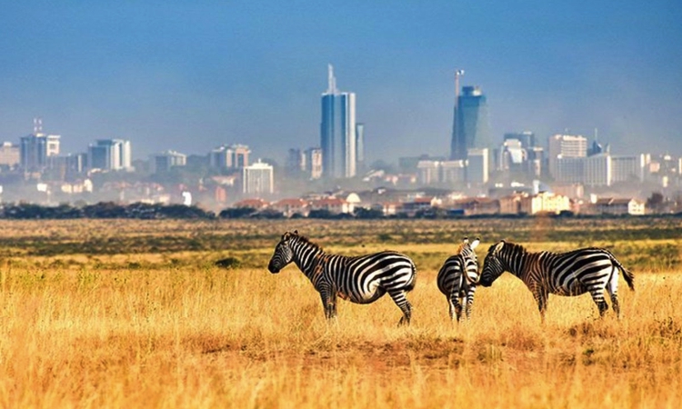 Büros zu mieten Nairobi