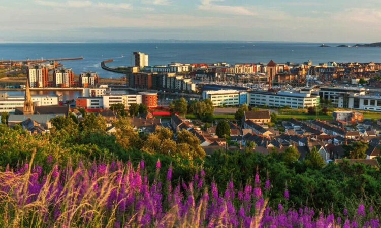 Sewa pejabat di Swansea