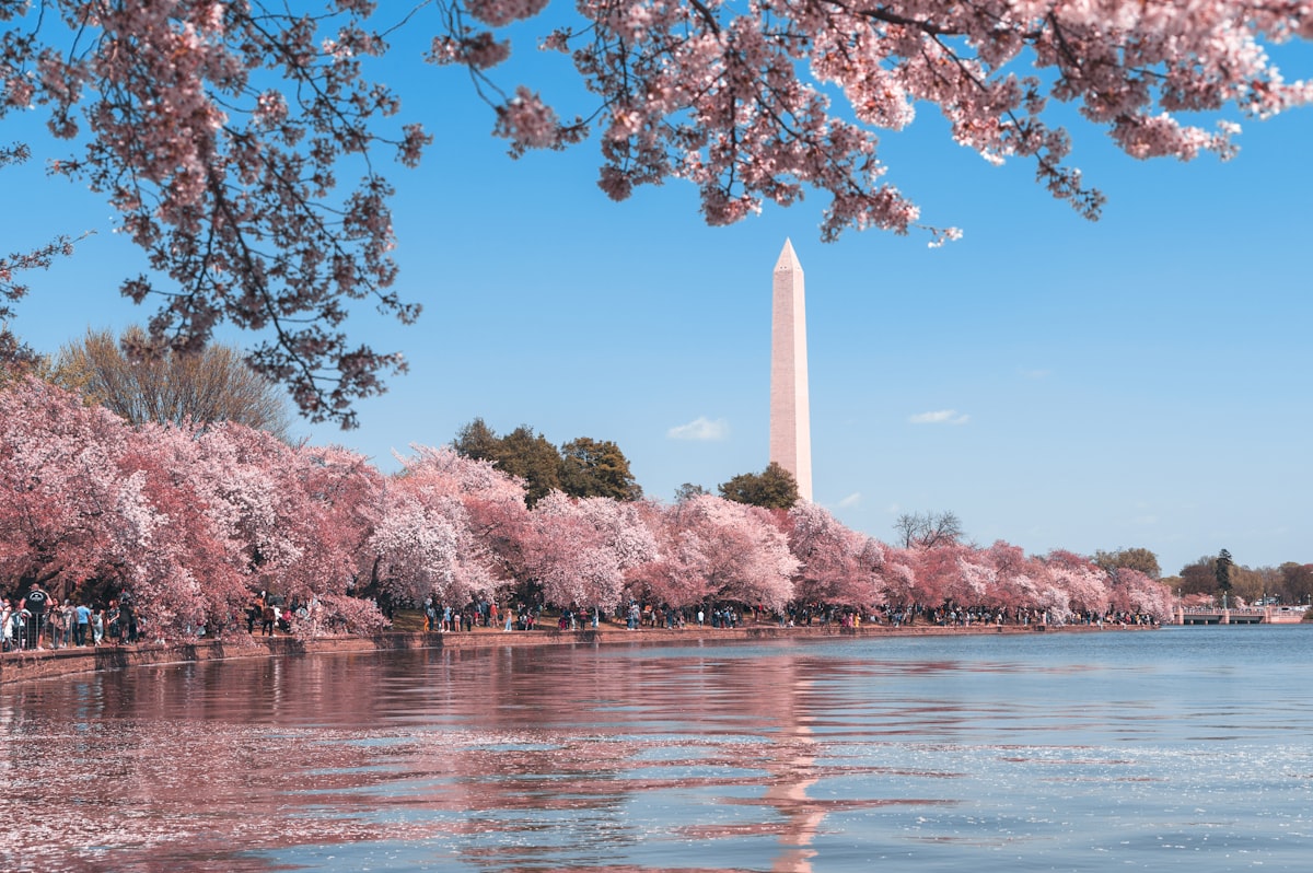 Washington, D.C. — offices for rent