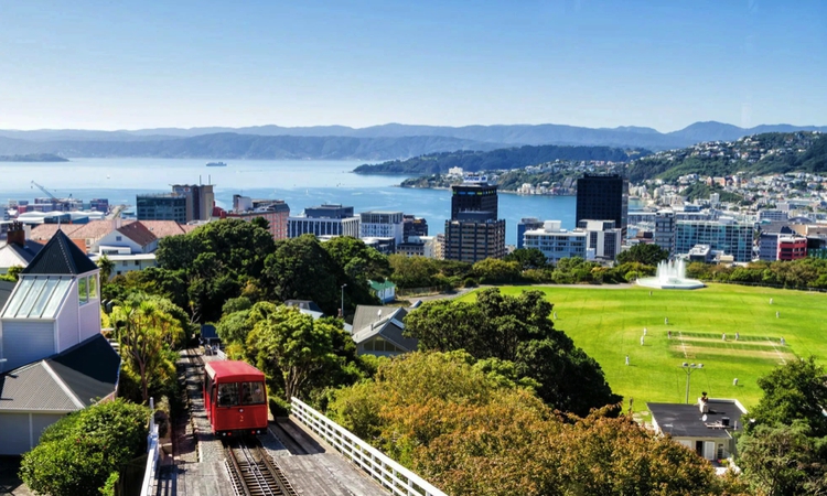 Rent office Wellington
