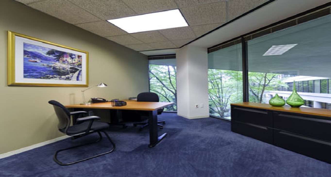 Business centrum 7 Piedmont Center Rent office 7 Piedmont Center — photo 7