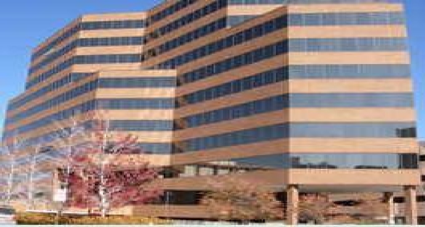 Rent office 44 Cook Street, Suite 100, Denver, Co — photo 5