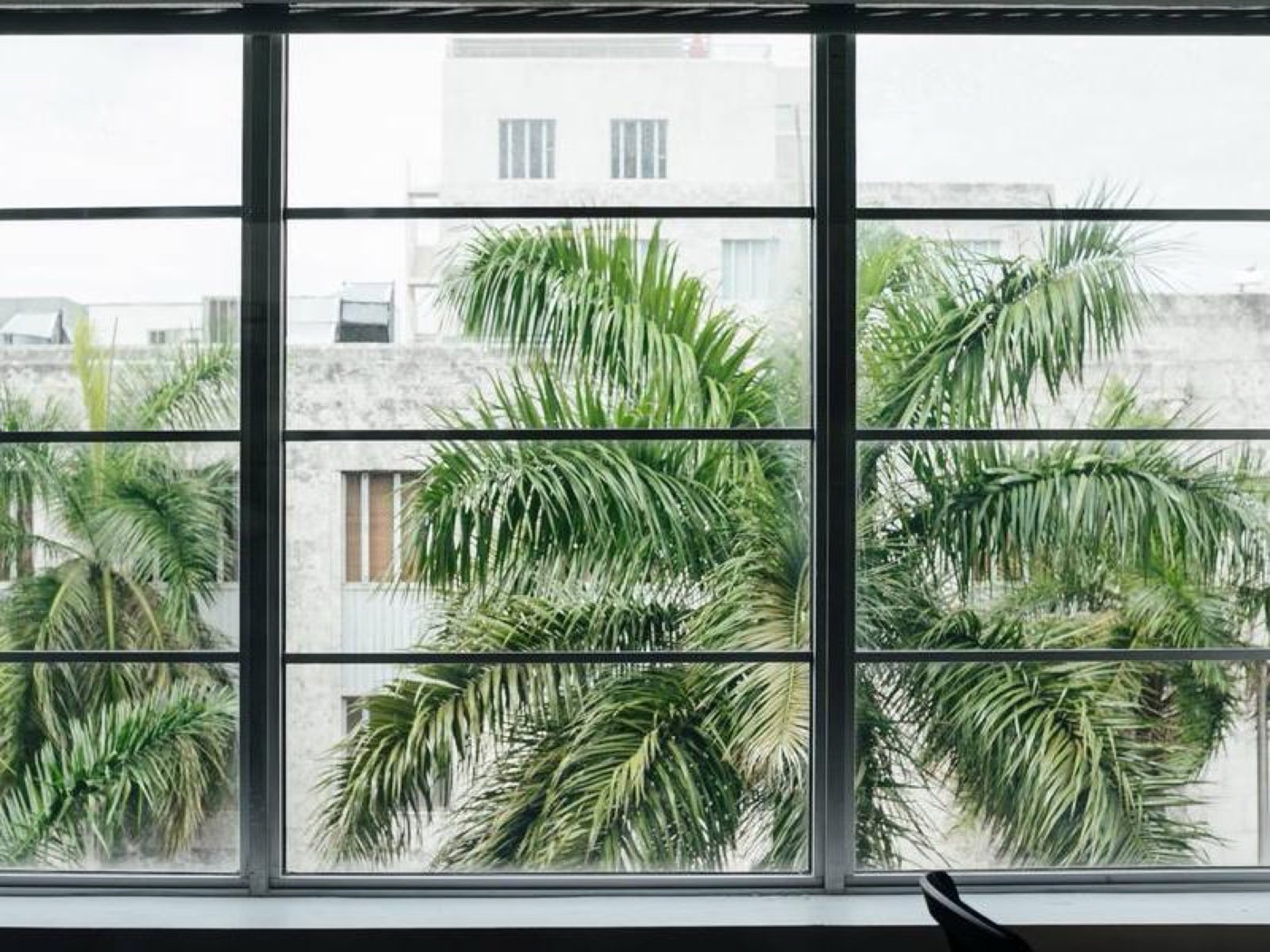 Rent office 350 Lincoln Road, Miami Beach, Fl — photo 6