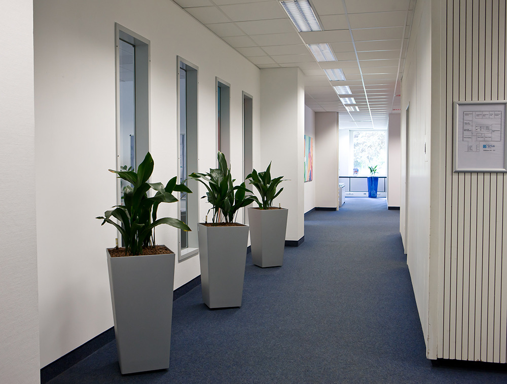 Business center Brunhamstraße 21 Rent office Brunhamstraße 21 — photo 10