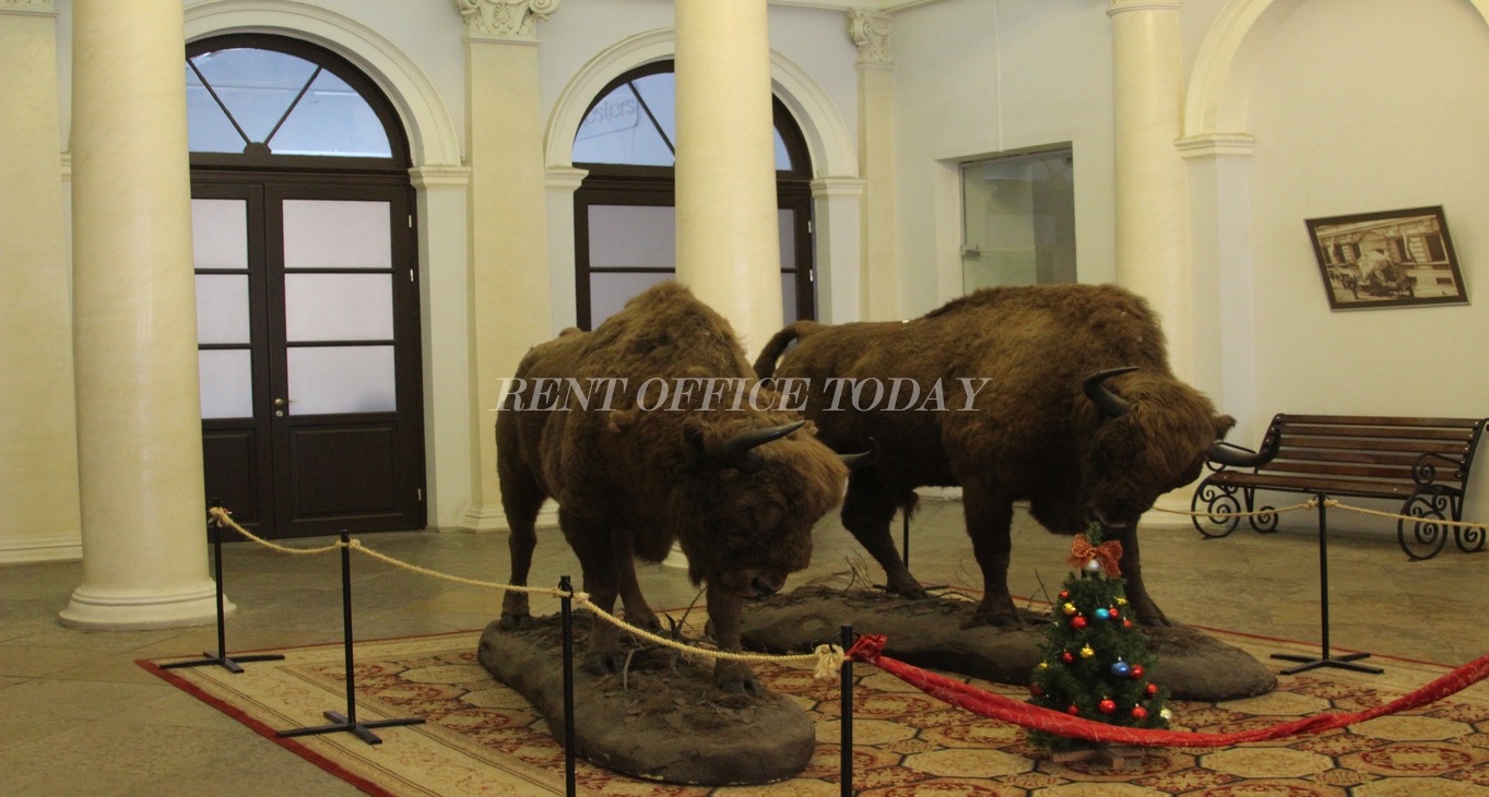 Rent office Дворец Кваренги — photo 10