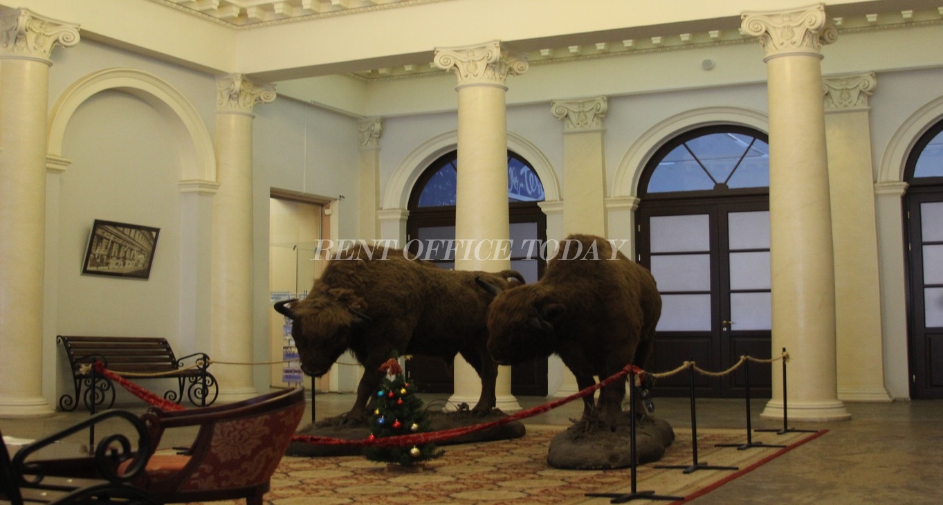 Rent office Дворец Кваренги — photo 7