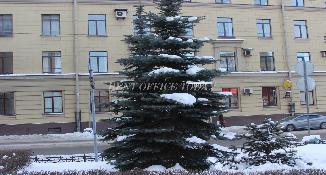 Rent office Грибоедов — photo 7