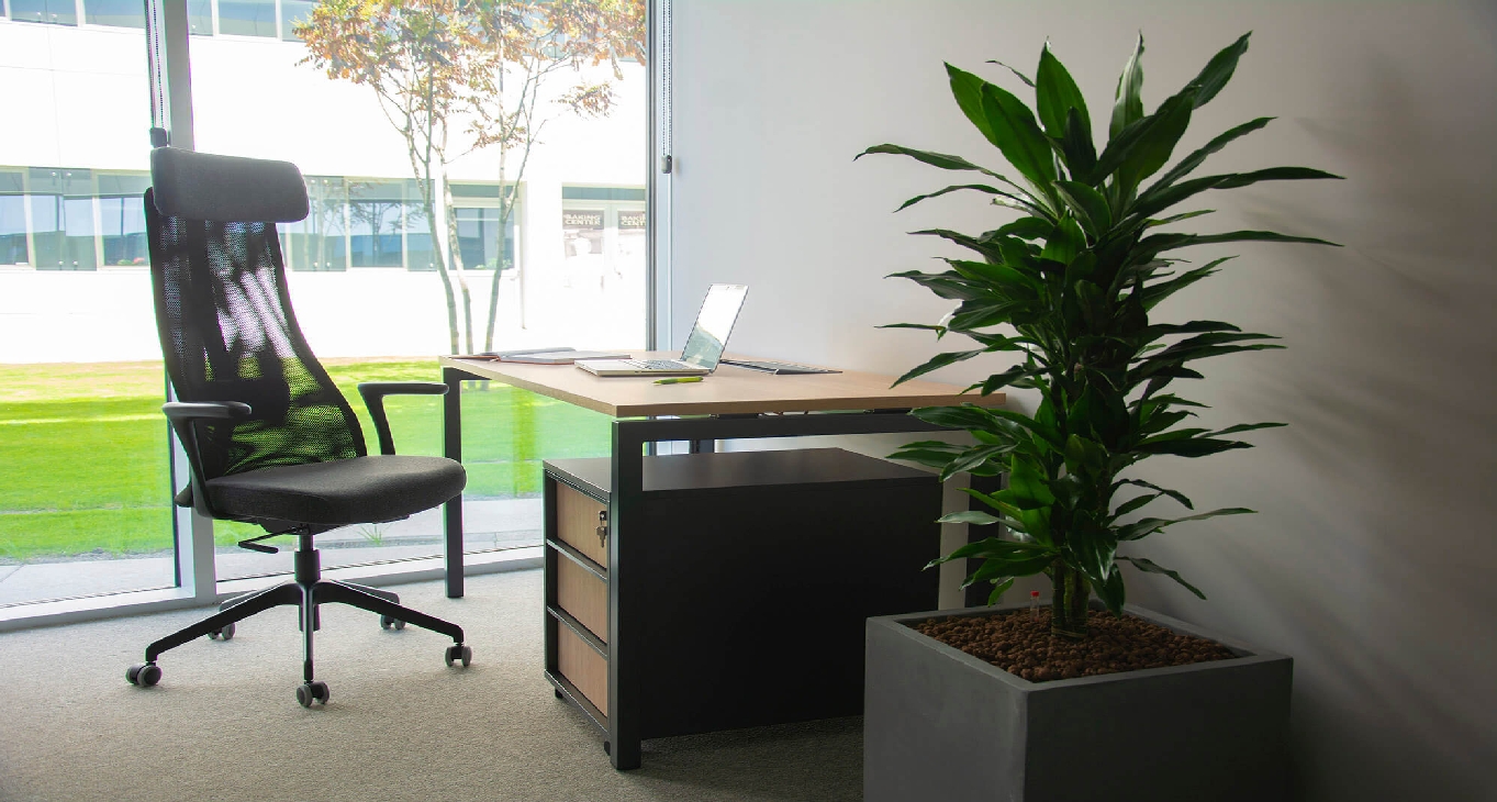 Business center Bulevar Milutina Milankovića 11g Rent office Bulevar Milutina Milankovića 11g — photo 3