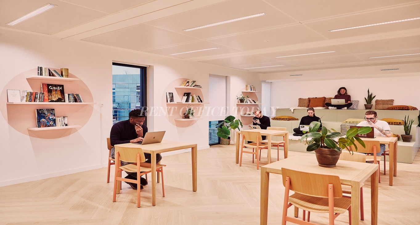 Business center Coworking 21 place des Nations Unies Rent office Coworking 21 place des Nations Unies — photo 6