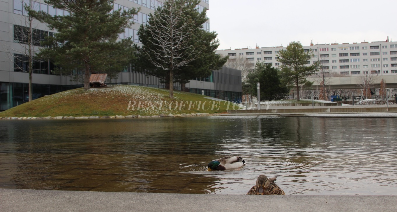 Rent office Denk Drei im Viertel Zwei — photo 13