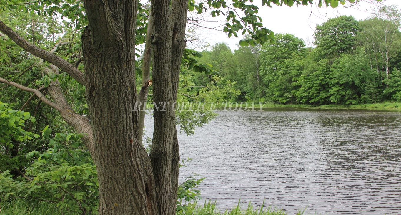 Rent office H2O — photo 7