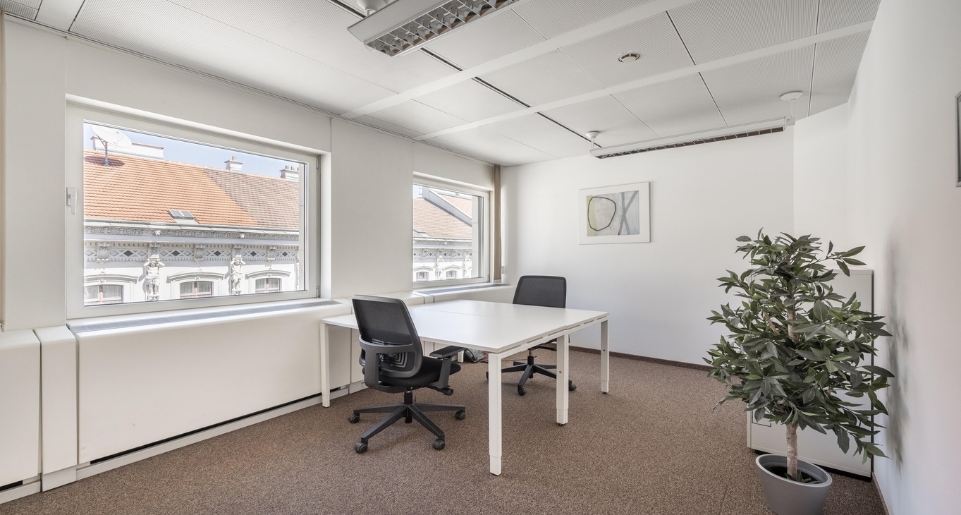 商务中心 Karntner Ring 5-7 Rent office Karntner Ring 5-7 — photo 2