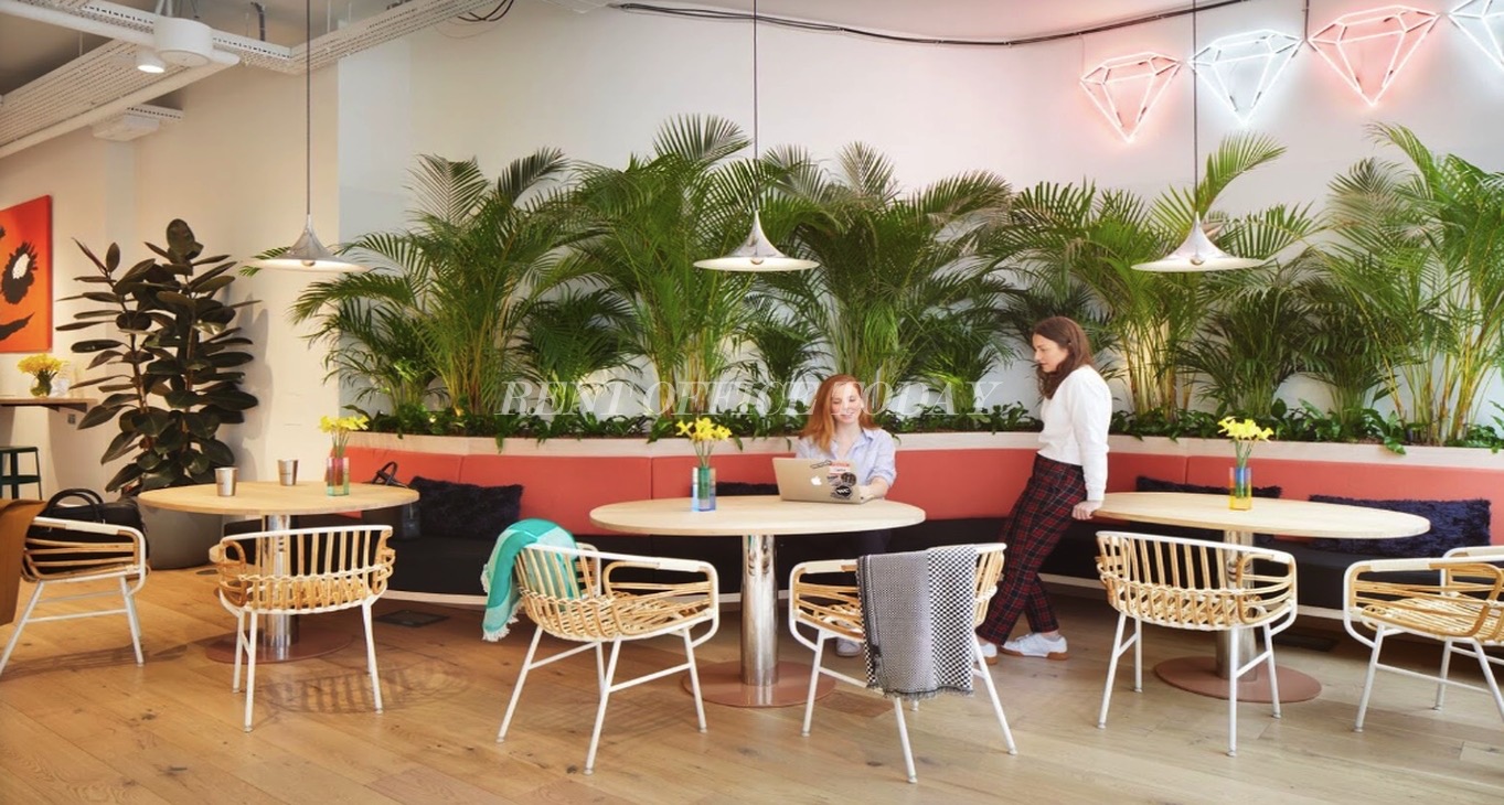 Rent office Serviced Offices 40 Rue du Colisée — photo 9