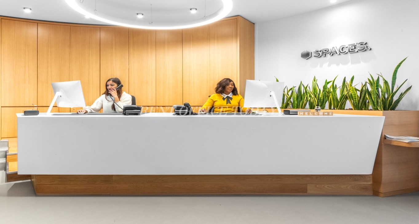 Business center Coworking 54 Avenue Hoche Rent office Coworking 54 Avenue Hoche — photo 2