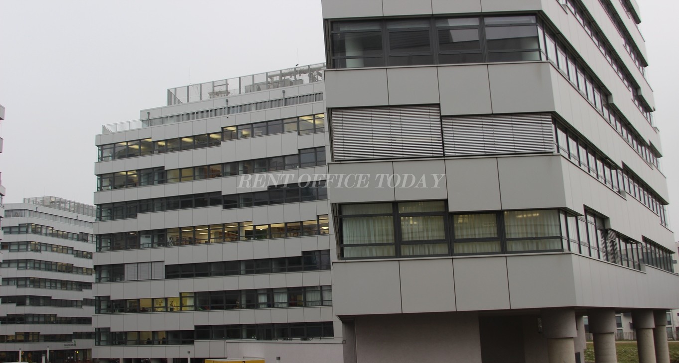 MARXIMUM — photo 3 of 5
