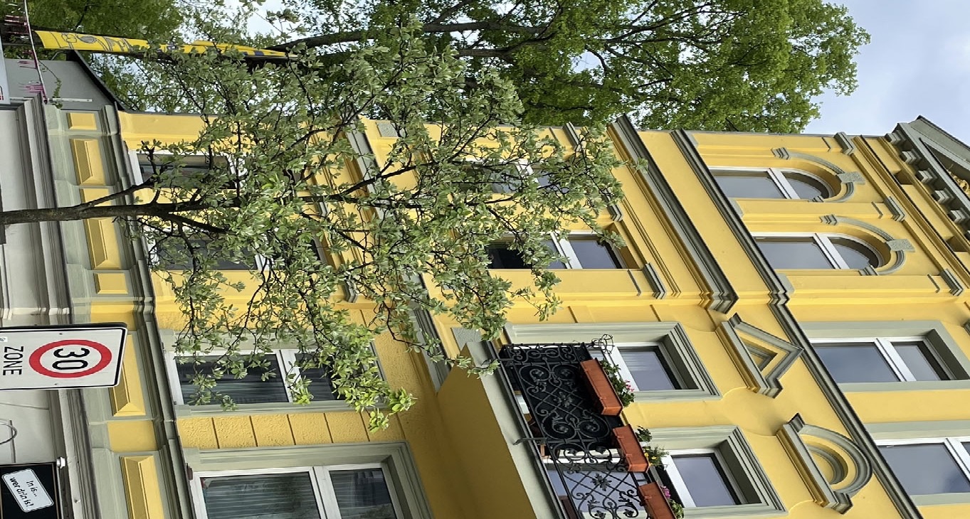Rent office Reginhardstraße 34 — photo 12