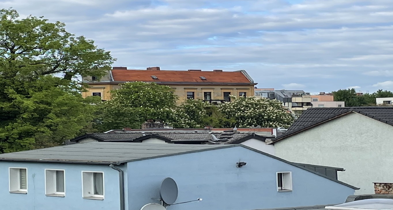 Rent office Reginhardstraße 34 — photo 7