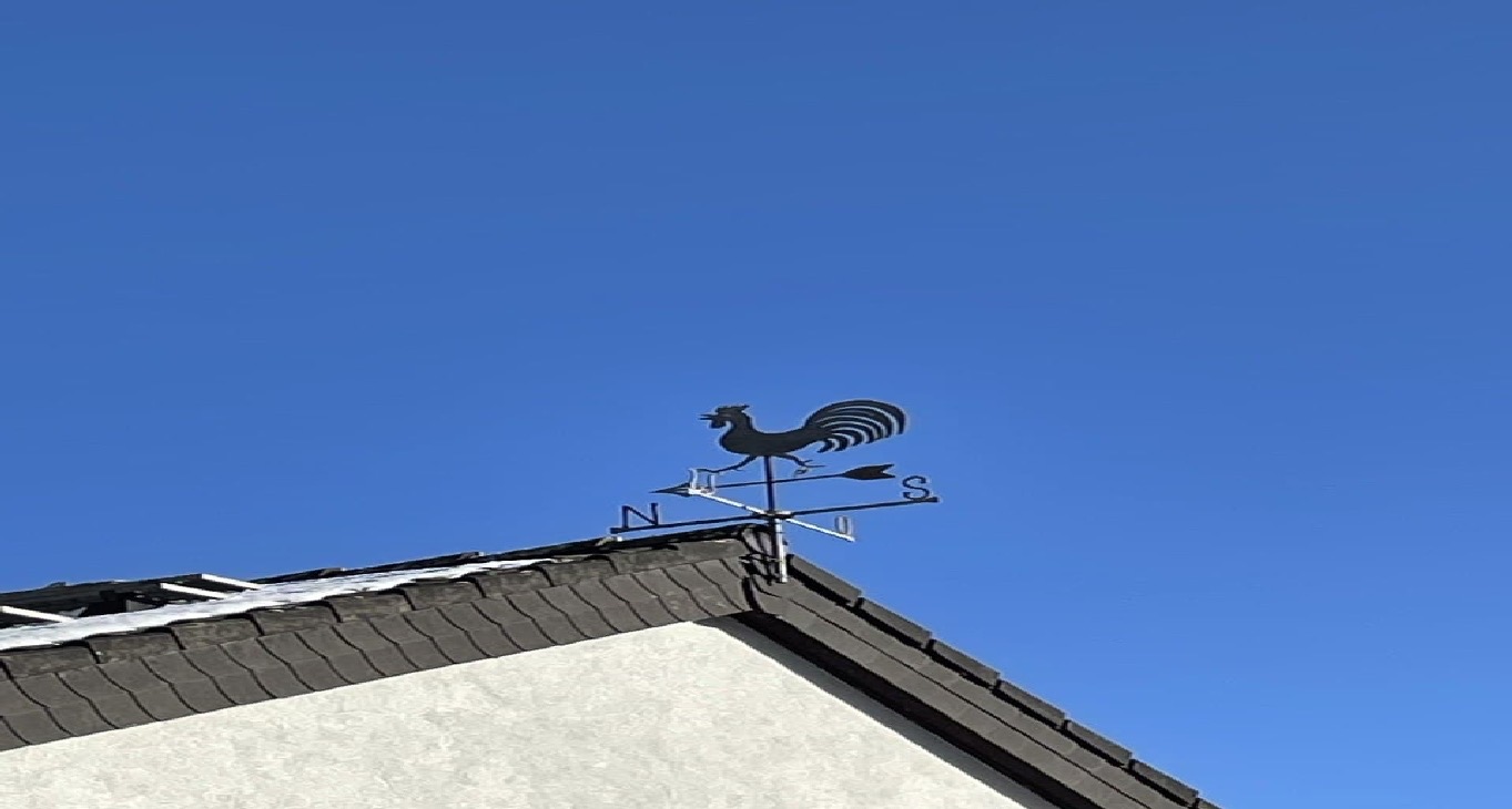 Rent office Reginhardstraße 34 — photo 9