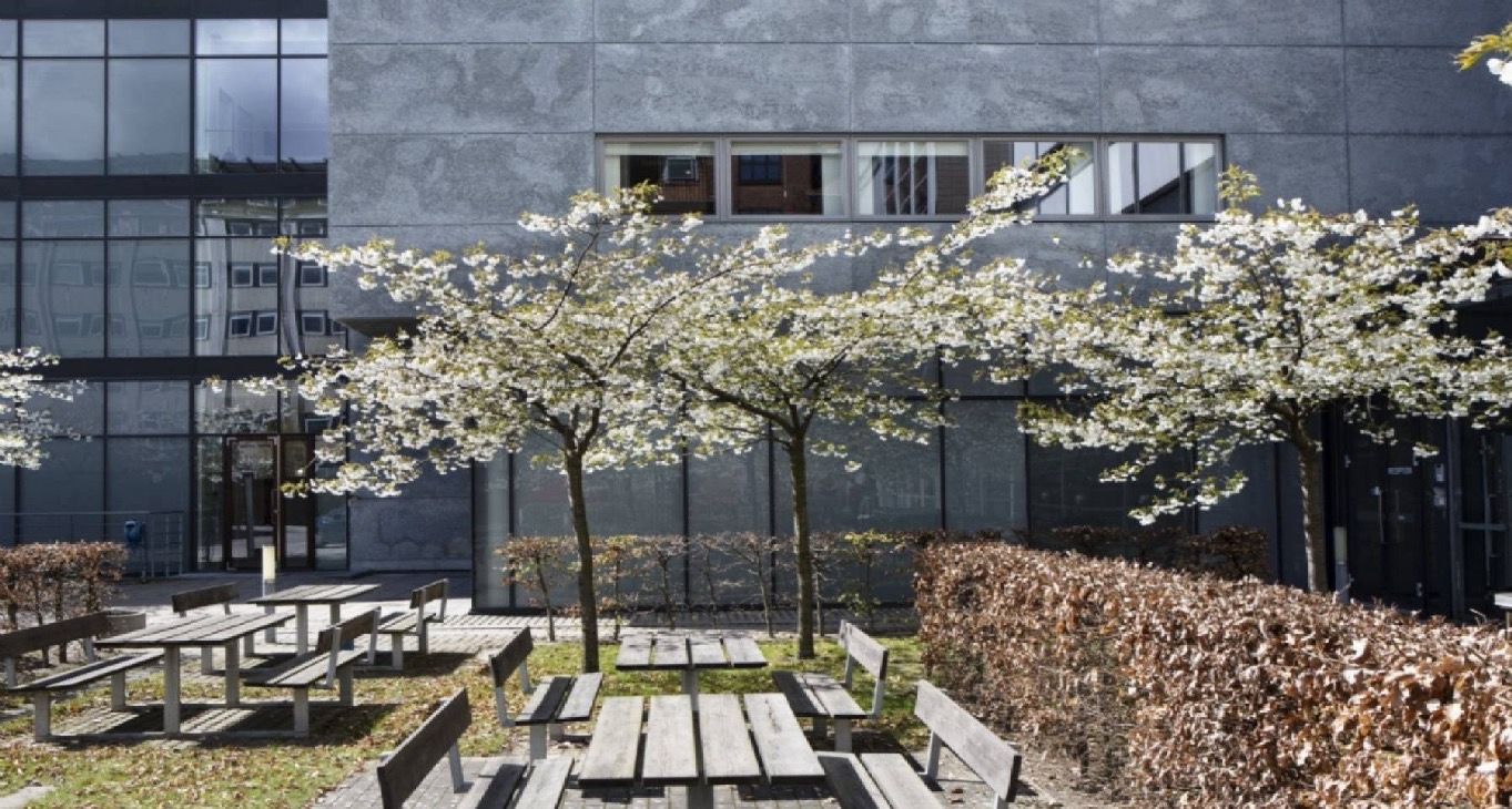 Rent office Sturlasgade 3 — photo 10