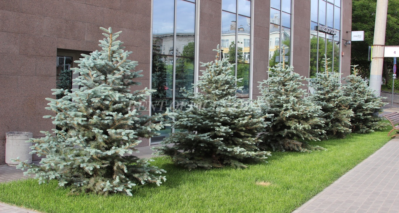 РочДел центр, Рочдельская улица, 20 — office space for rent, photo 9