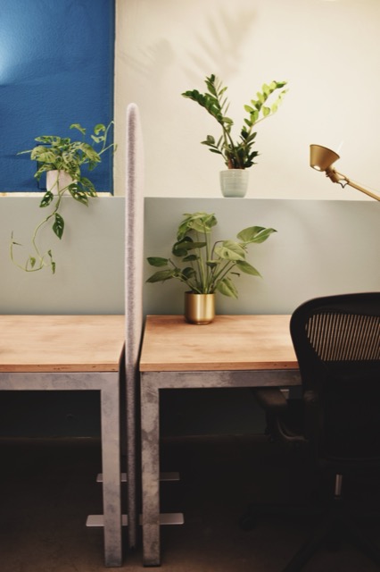 Amalienstraße 71, Amalienstraße 71, Munich 80799 — office space for rent, photo 6