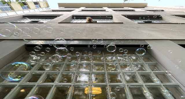 Rent office 55 Paulay Ede street, H-_1-1