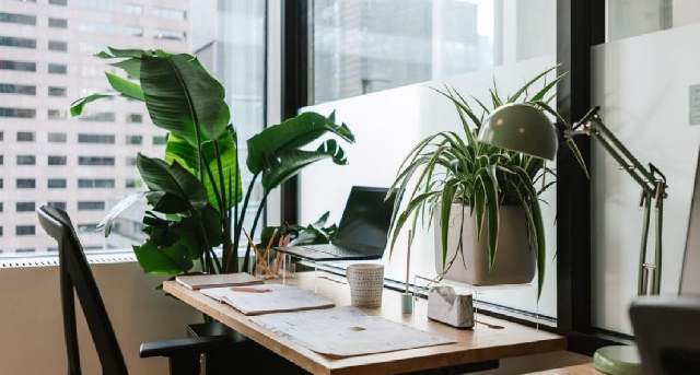 Rent office Harcourt Road_4-4