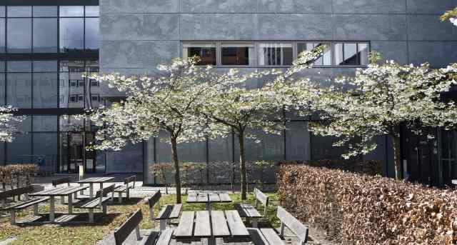 Islands Brygge 39-43, Islands Brygge 39-43, Islands Brygge 39-43 Copenhagen — office space for rent, photo 9