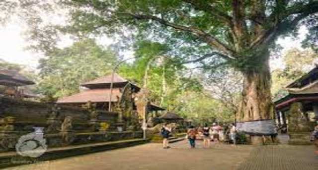 Sewa kantor Jalan Monkey Forest_1-1