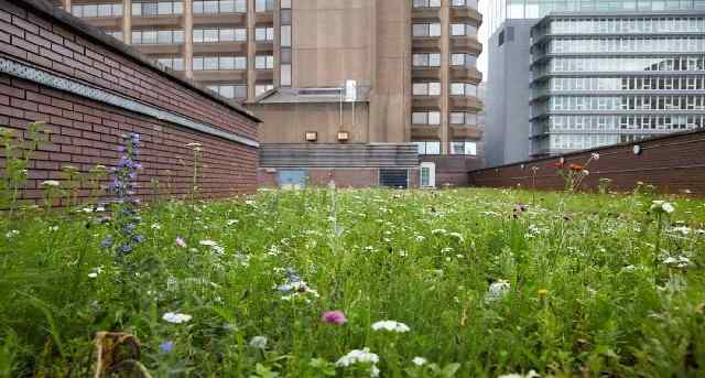 Oxford Road 124, Oxford Road 124, Manchester M13 9RD — office space for rent, photo 3
