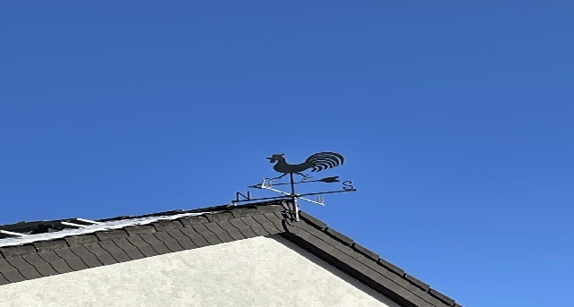 Reginhardstraße 34, Reginhardstraße 34, Reginhardstraße 34 — office space for rent, photo 9