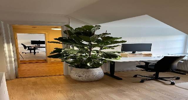 Sankt Annæ Plads 15A, Sankt Annæ Plads 15A, Sankt Annæ Plads 15A 4. sal Copenhagen — office space for rent, photo 2