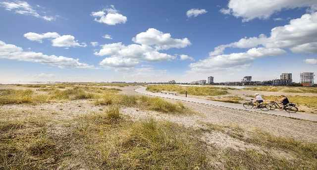 Strandlodsvej 44, Strandlodsvej 44, Strandlodsvej 44 Copenhagen — office space for rent, photo 6