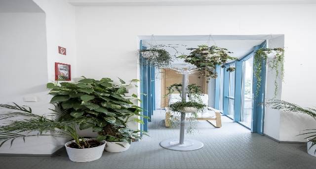 Affitto uffici Villefortgasse 11_1-1
