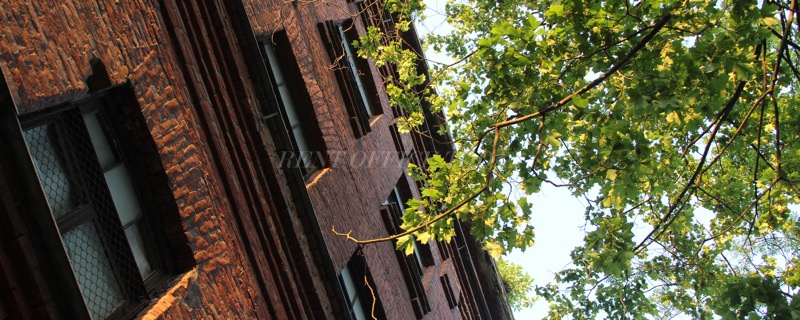 IT Park, 25, Krasnogo Kursanta street — office space for rent, photo 5
