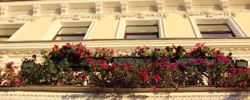 Angliyskaya 70 / Galernaya 73, 70, Angliyskaya emb. — office space for rent, photo 16