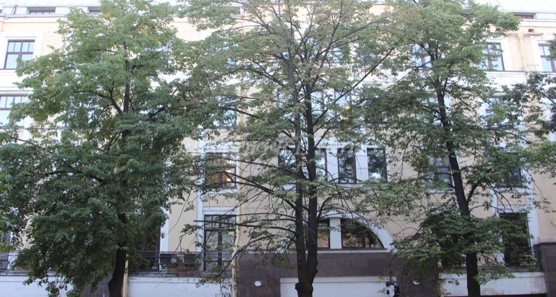 Golitsin, 6-8, 13 liniya V.O. — office space for rent, photo 9