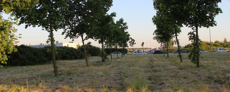 Pulkovo Sky, 2 A, Vnukovskaya street — office space for rent, photo 2