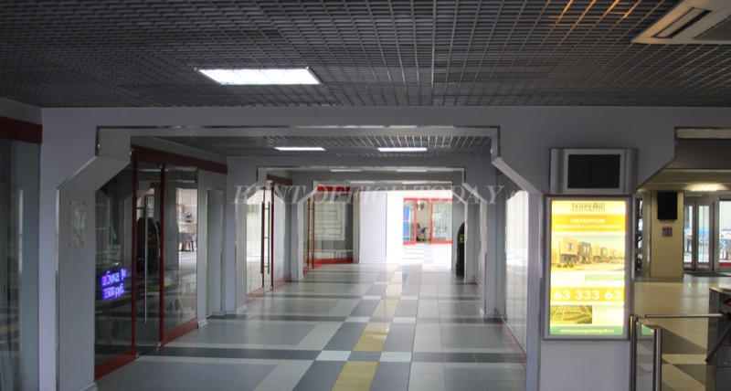 T 4, 12, Sedova street — office space for rent, photo 5