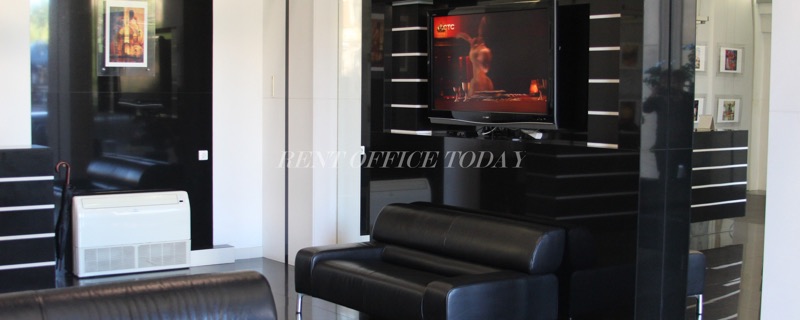 Alia Tempora, 3 b, Mayakovskogo street — office space for rent, photo 12