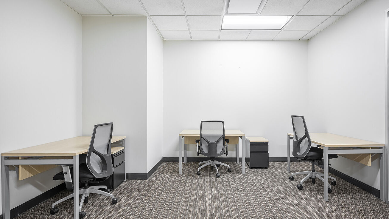 7 Skyline Drive, 7 Skyline Drive, Hawthorne, NY 10532 — office space for rent, photo 3