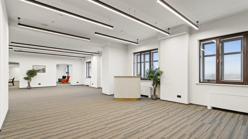 Senator Millionnaya 5, Millionnaya street, 5 — office space for rent, photo 4