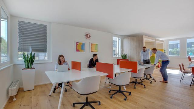Rent office Via Pasquale Stanislao Mancini 27