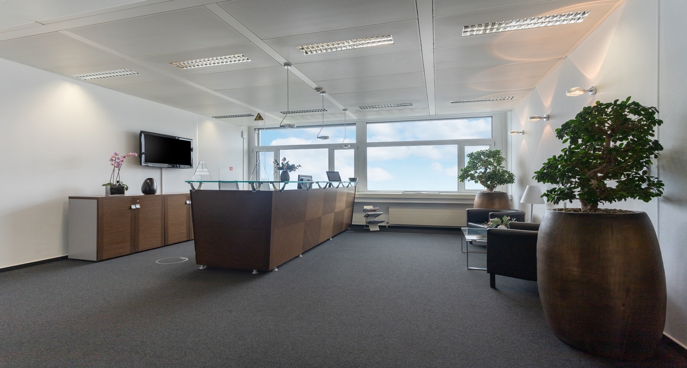 Affitto uffici 43 Avenue JFK_2-2