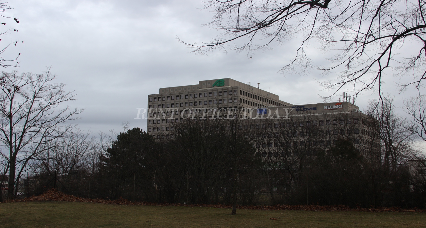 Rent office Buro am schweizegarten — photo 8