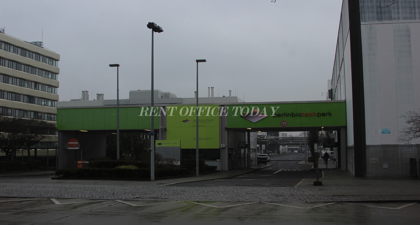Rent office Max-Dohrn-Straße 8-10 — photo 3