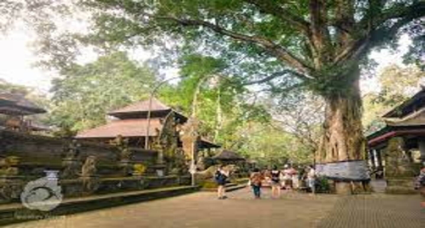 Sewa pejabat Jalan Monkey Forest_1-1